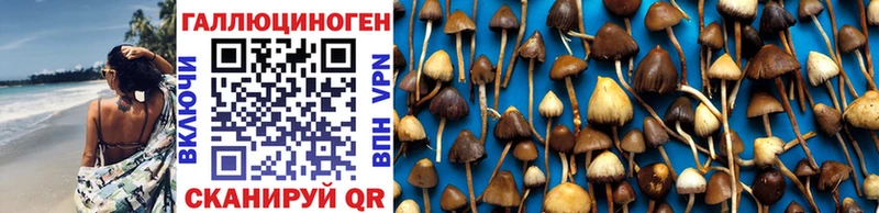 Псилоцибиновые грибы Magic Shrooms  Пересвет 